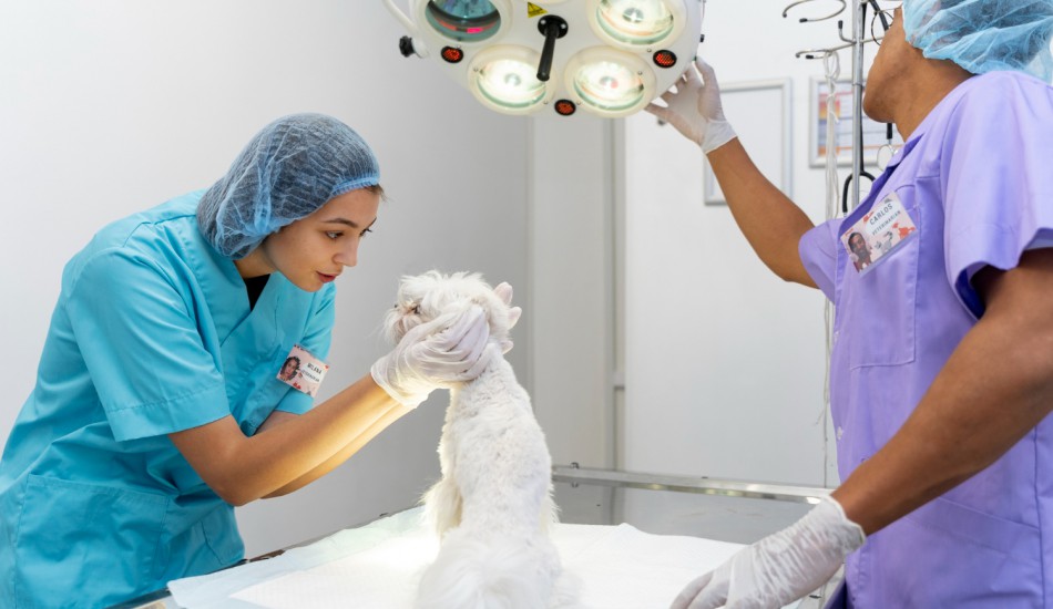 Modern Equipment for Precise Care