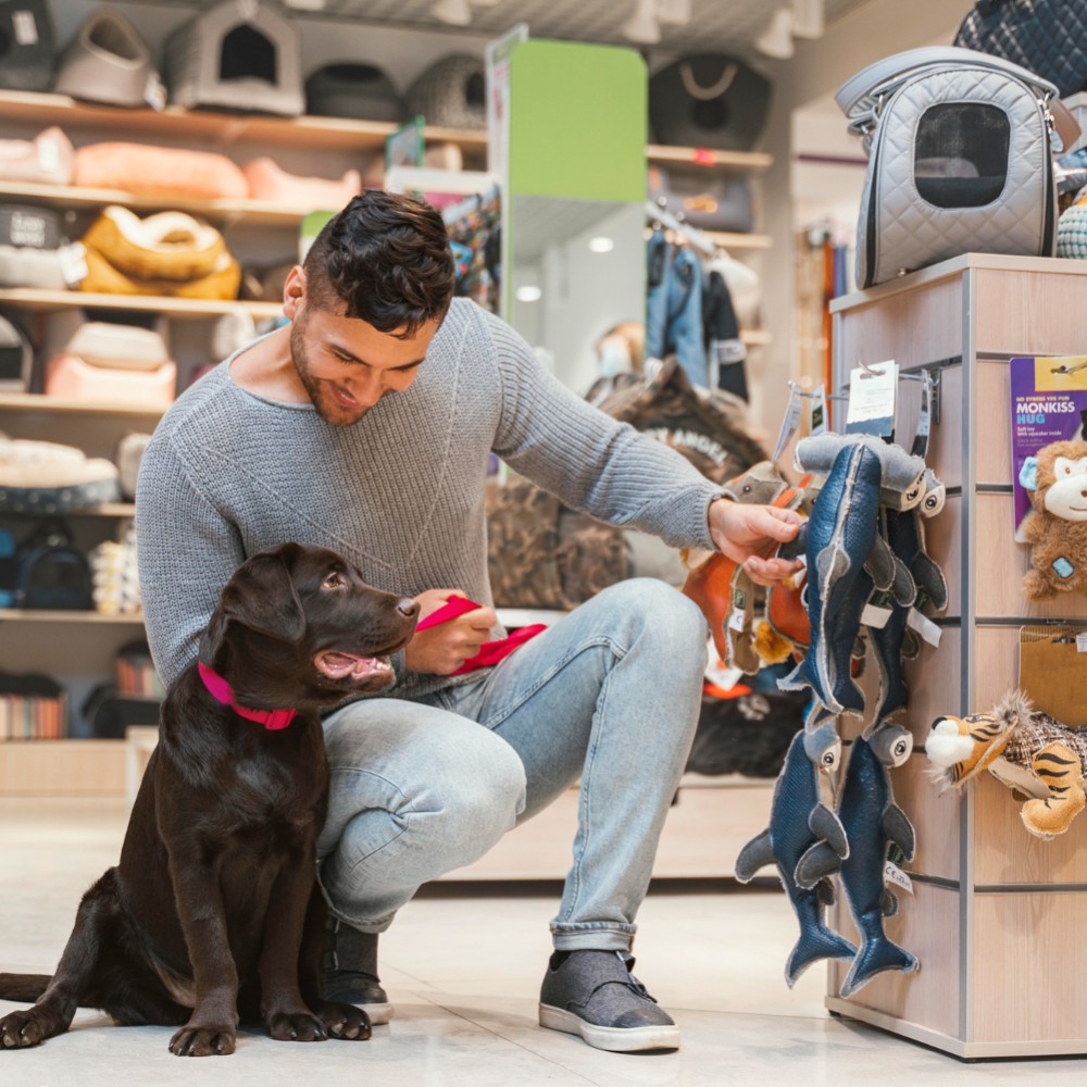 AMC pet shop